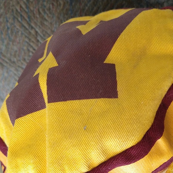 Vintage University of Minnesota Golden Gophers Cap - Picture 10 of 10